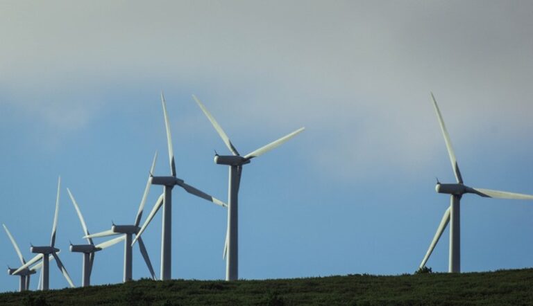 wind-farm