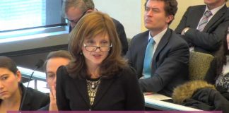 Wendy Harris speaking during Royal Commission Misconduct Financial Services Industry hearing
